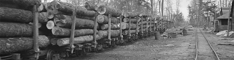 logs.jpg